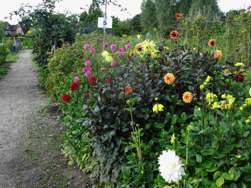 Open dag 2018