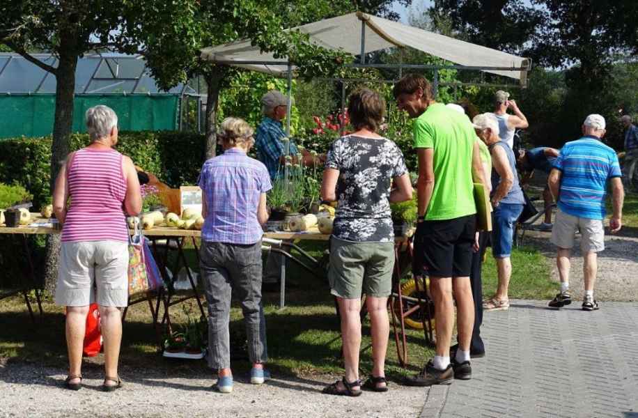 Open dag 2019