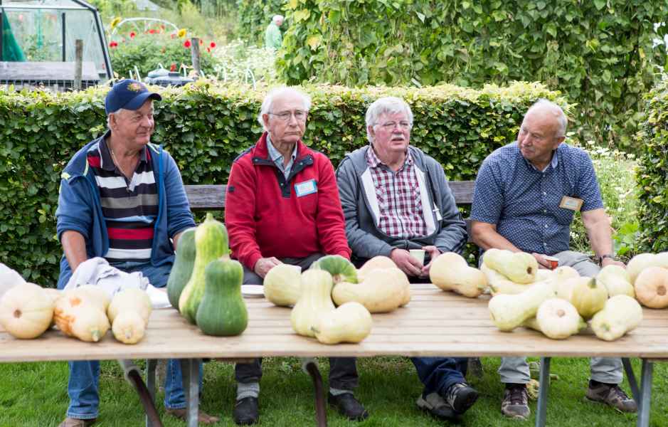Open Dag 2021