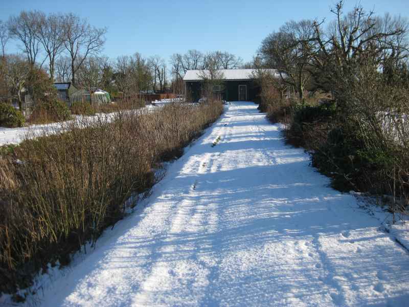Winter 2024