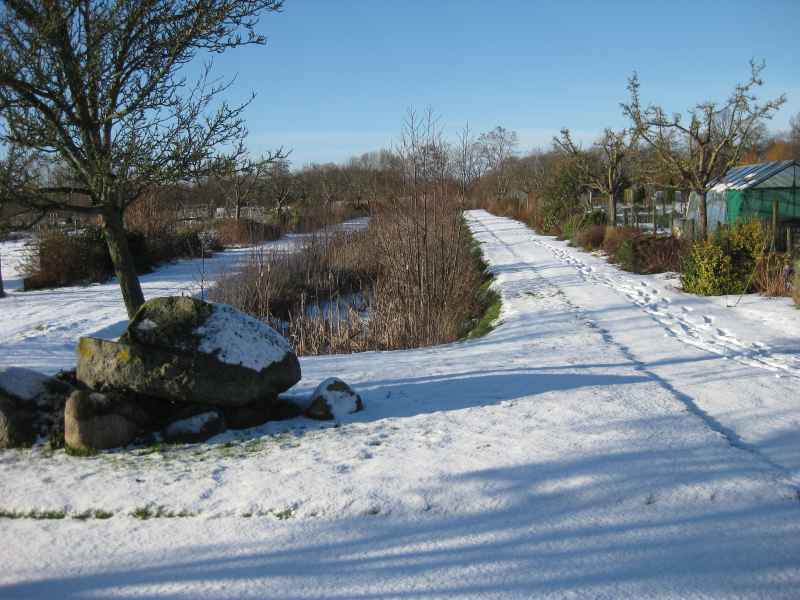 Winter 2024
